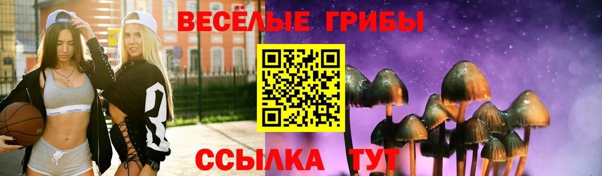 Галлюциногенные грибы прущие грибы  Вход с VPN  Грозный 